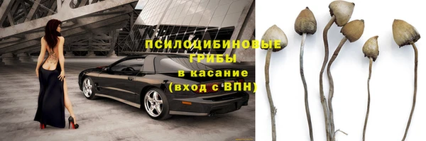 тгк Вязьма