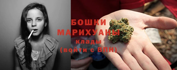 бошки Весьегонск