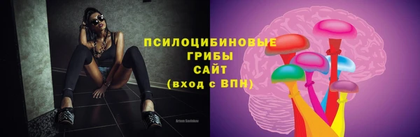 сатива Видное