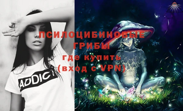 спайс Вяземский